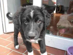 Ferienhaus Duhra - Janšojce