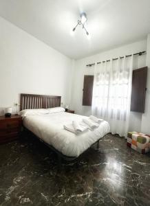 Local Granada Penthouse