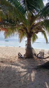 Cabaña frente al mar de Guna Yala Isla del Barco hundido