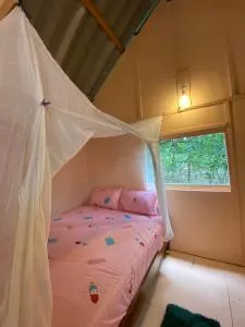 Koh Phu Valley - Ban Ko Nok Khuam