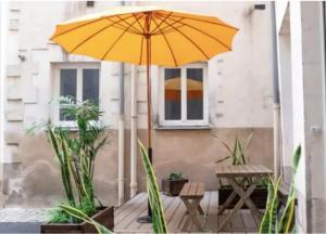 Hypercentre Appart 2 à 4 pers, Calme & Cosy avec Terrasse Privée