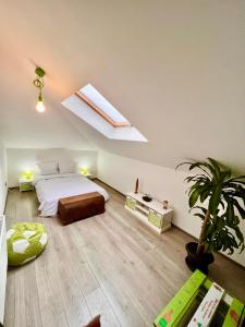 Coresi Bright Apartment Brasov