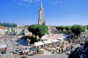 Appartements Saint Georges de Didonne - APPARTEMENT rez-de-chaussee - mode TOUT a PIED : Appartement 2 Chambres