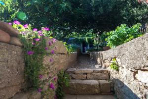 Holiday Home ART - Bol