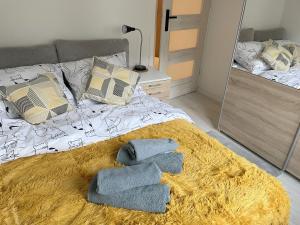 Apartament Studio przy Słowianka Arena