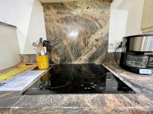 Villas Villa Anatole - parking prive - 900m Cite Medievale : photos des chambres