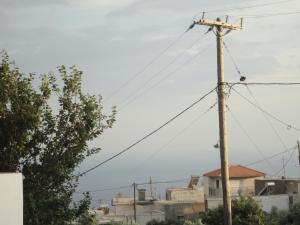 Archontika Apartments