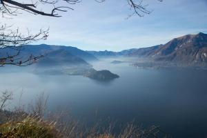 INCREDIBLE by Design Studio