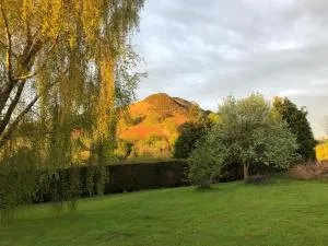 Offa's Dyke Lodge B&B - 金顿