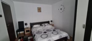 Garsoniera in regim hotelier "Raul"