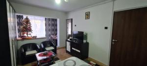 Garsoniera in regim hotelier "Raul"