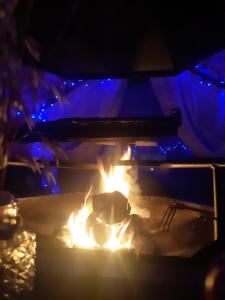 Maisons de vacances A Private Lakeside Retreat-Do You Love Nature : photos des chambres