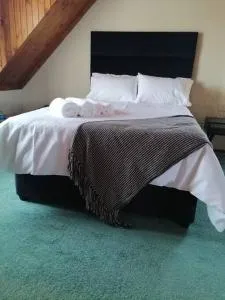 Traveller's dream - 皮尔格林斯雷斯特