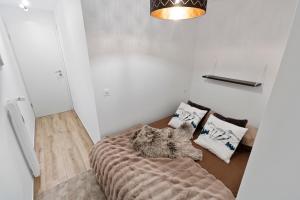 Appartement rénové avec sauna privé