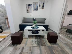 Apartman Arsić Zajecar