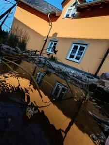 Ferienwohnung AlpakasvomWeissenstein