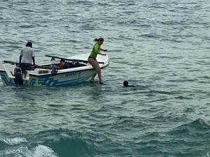 See Turtle Villa - Tangalle