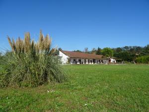 Maisons de vacances Domaine les Hirondelles Lucky : photos des chambres
