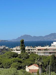 Superbe Studio Le pavois