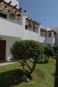 George Studios Skyros Greece