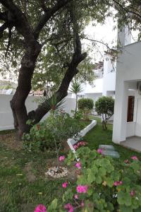 George Studios Skyros Greece