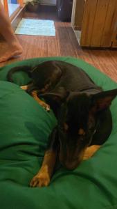 Happy Hammocks, Hiriketiya Beach - Sri Lanka
