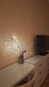 WillowHome - Central Apartment