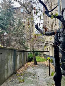 Almond Studio Apartment