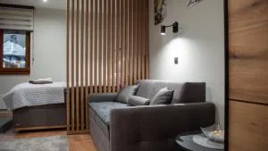 Regulus apartment Brzeće Kopaonik - بريزيسيه