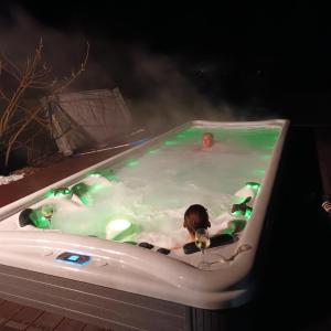 Villa Wolf Castle - vanjski grijani bazen