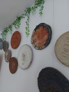 Yara Sobre Los Tejados de San Basilio