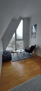 Aprtman Divčigora C14