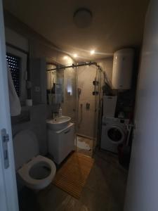 Aprtman Divčigora C14