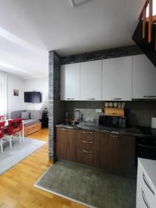 Aprtman Divčigora C14