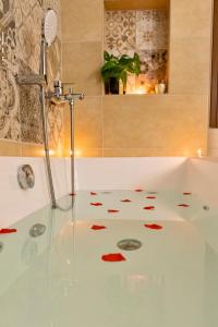 Secret Paradise & SPA Rooftop img21