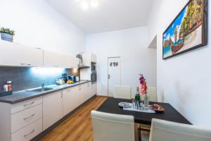 Wenceslas Square 2 Bedroom Apartment