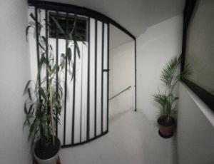 alojamiento cerca centro histórico Popayán.