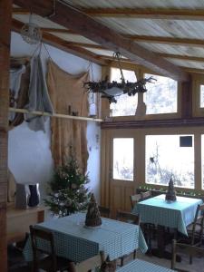 StaroplaninSki Apartments