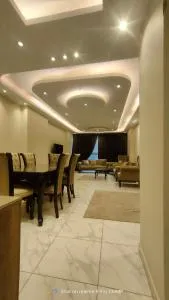 محيي الدين ابو العز - 开罗