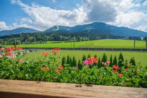 Appartements Gamper - Alpline Appartements KG