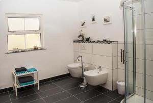 Ring of Kerry - Einmaliger Blick auf Skelligs