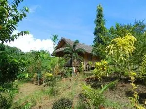 Sweet native Guesthouse in Paradise Garden - Tiniguiban