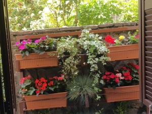 Το Σπίτι Της Ευτυχίας στούντιο