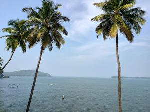 GS Home on the Bay - Super Sea view glass studio apartment