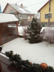 Apartmany Kenka