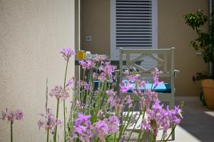 Apartman Festini Pag 