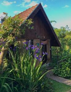 Hospedagem EXCALIBUR