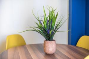 Virona 2nd Floor Greece Apartments