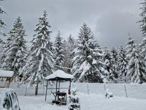 Cabana Armonia Naturii