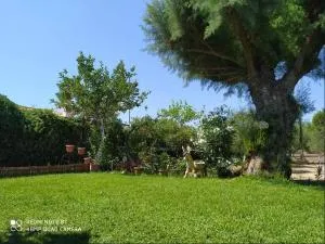 Sarah Delight - Áyios Ioánnis